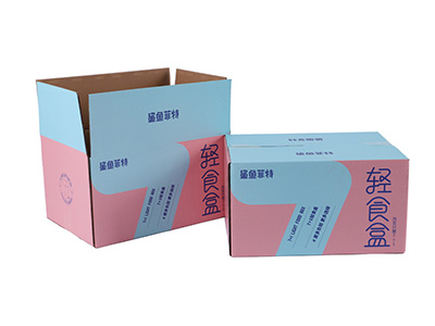 瓦楞紙（zhǐ）食品彩箱定製 食品（pǐn）紙箱印刷包裝（zhuāng）廠